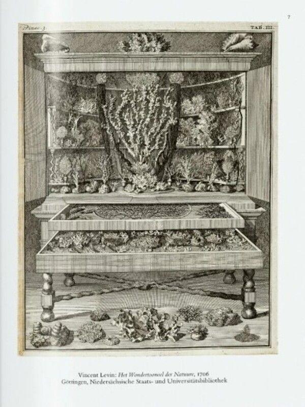 40 - Seba. Cabinet Of Natural Curiosities-2