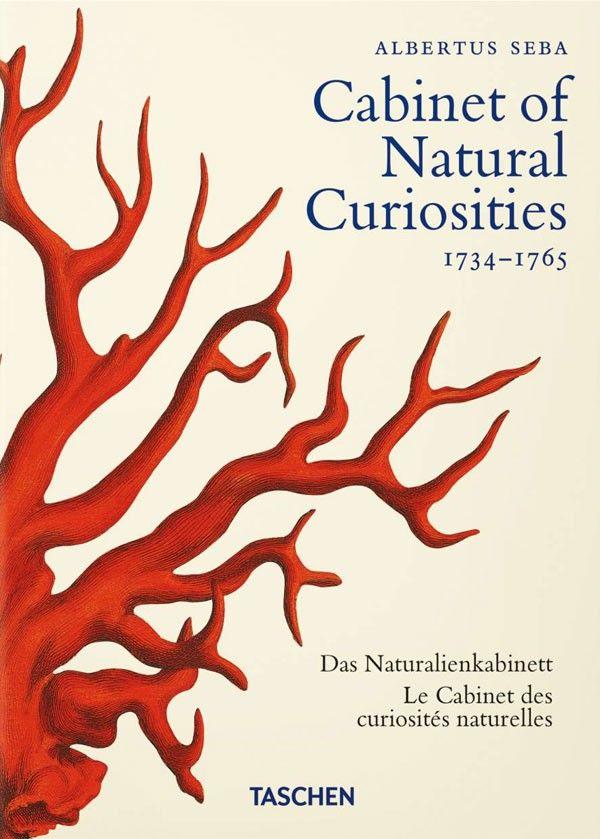 40 - Seba. Cabinet Of Natural Curiosities-7