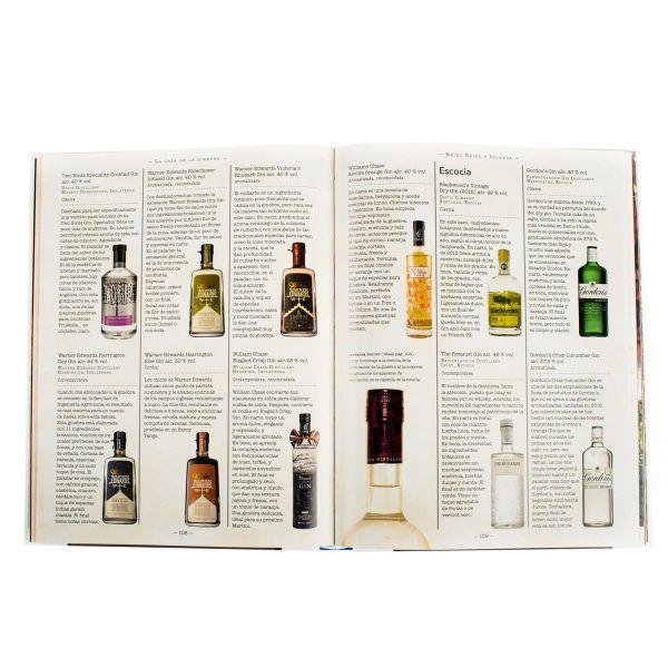 Ginebra-4