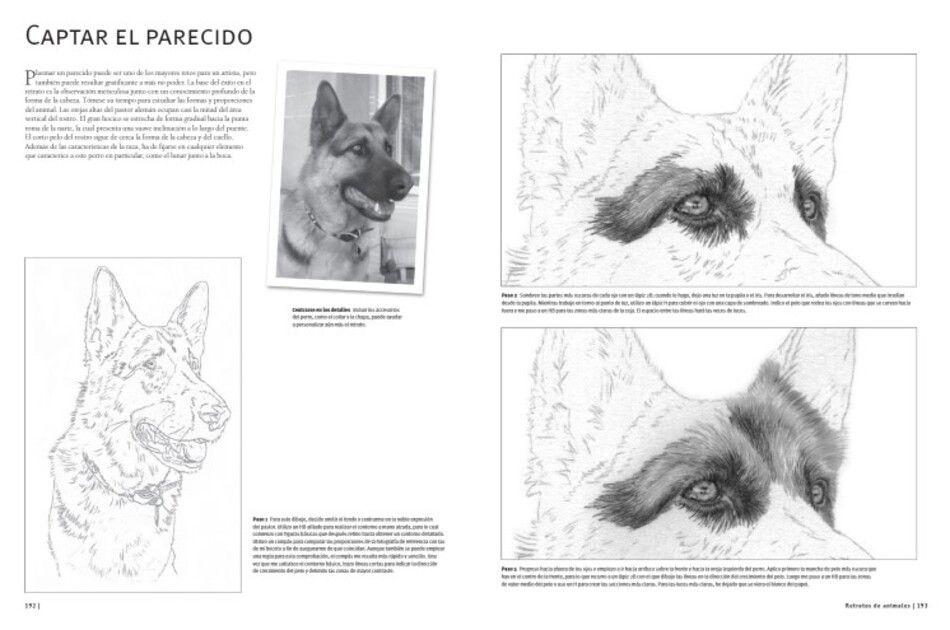 Guía Completa De Dibujo. Animales-2