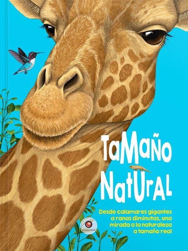 Tamaño Natural de Editorial Contrapunto-6