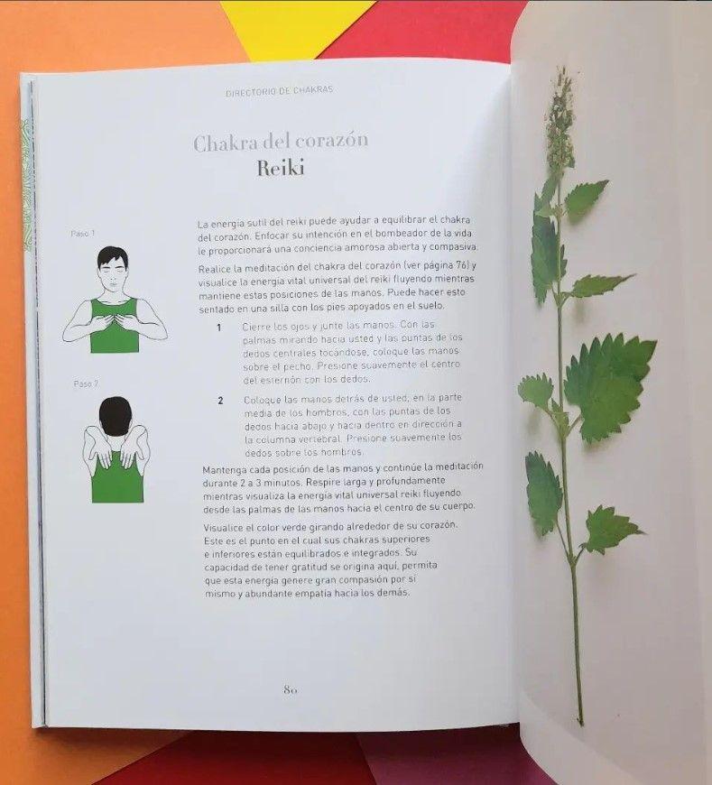 Libro Guías Sagradas - Chakras Sagrados-2