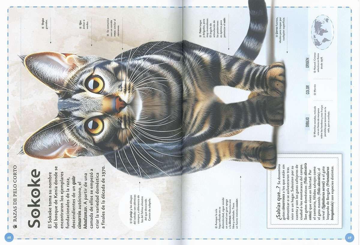 El magnífico libro de los gatos-3
