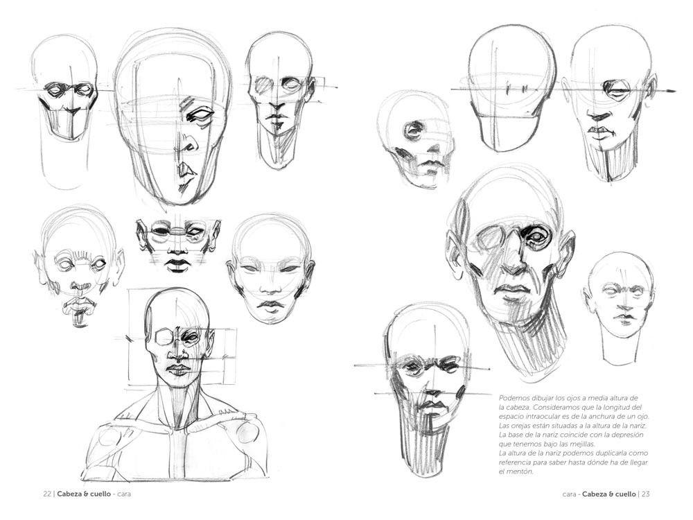Anatomia - Anatomia Artistica 2-3