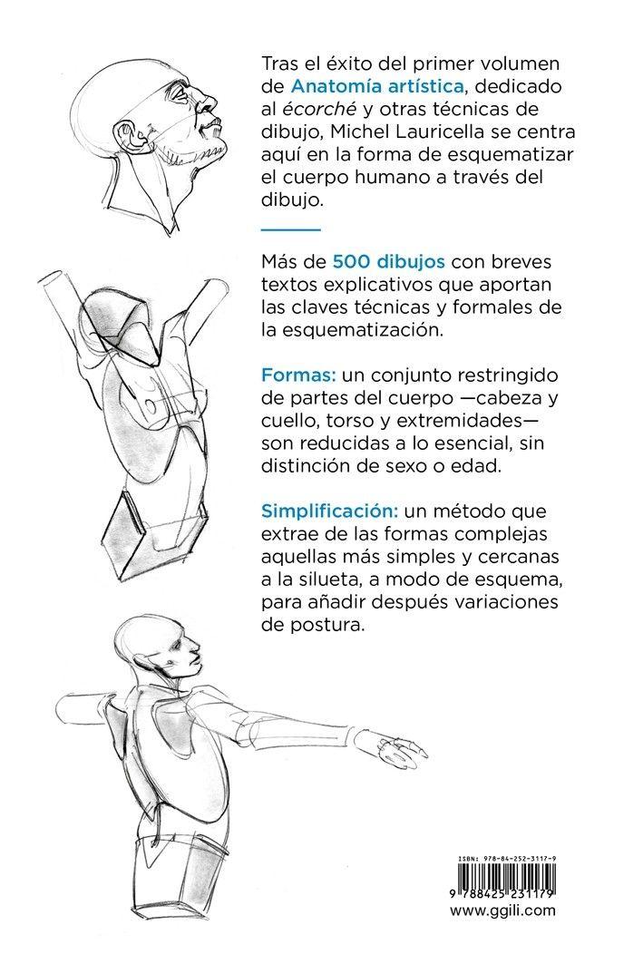 Anatomia - Anatomia Artistica 2-4