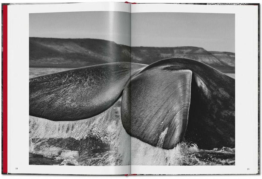 Genesis. Sebastiao Salgado-2