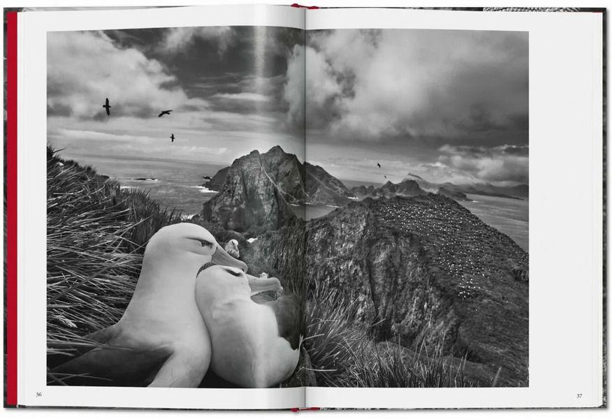 Genesis. Sebastiao Salgado-3