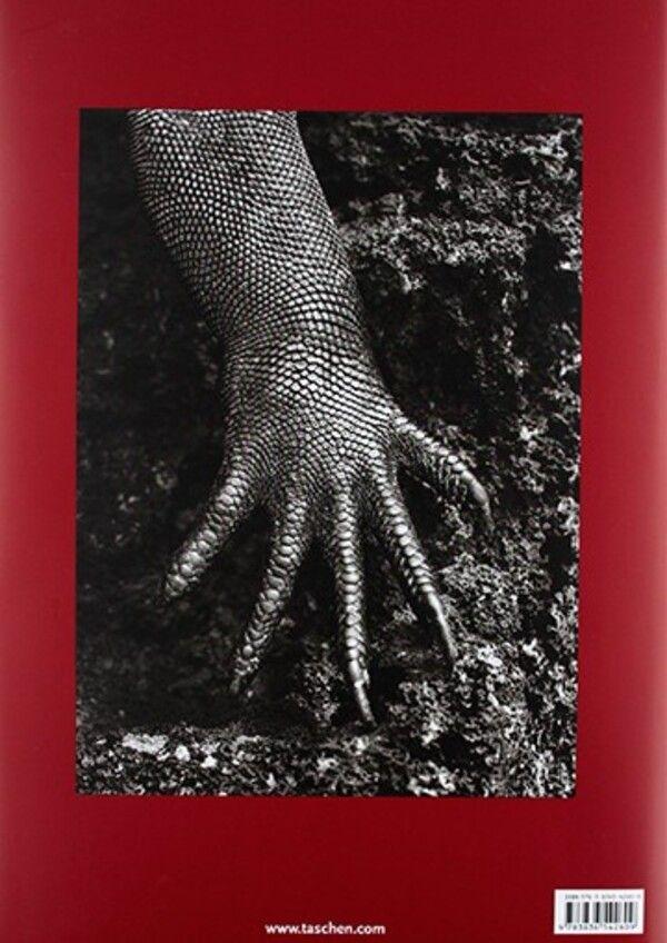 Genesis. Sebastiao Salgado-4