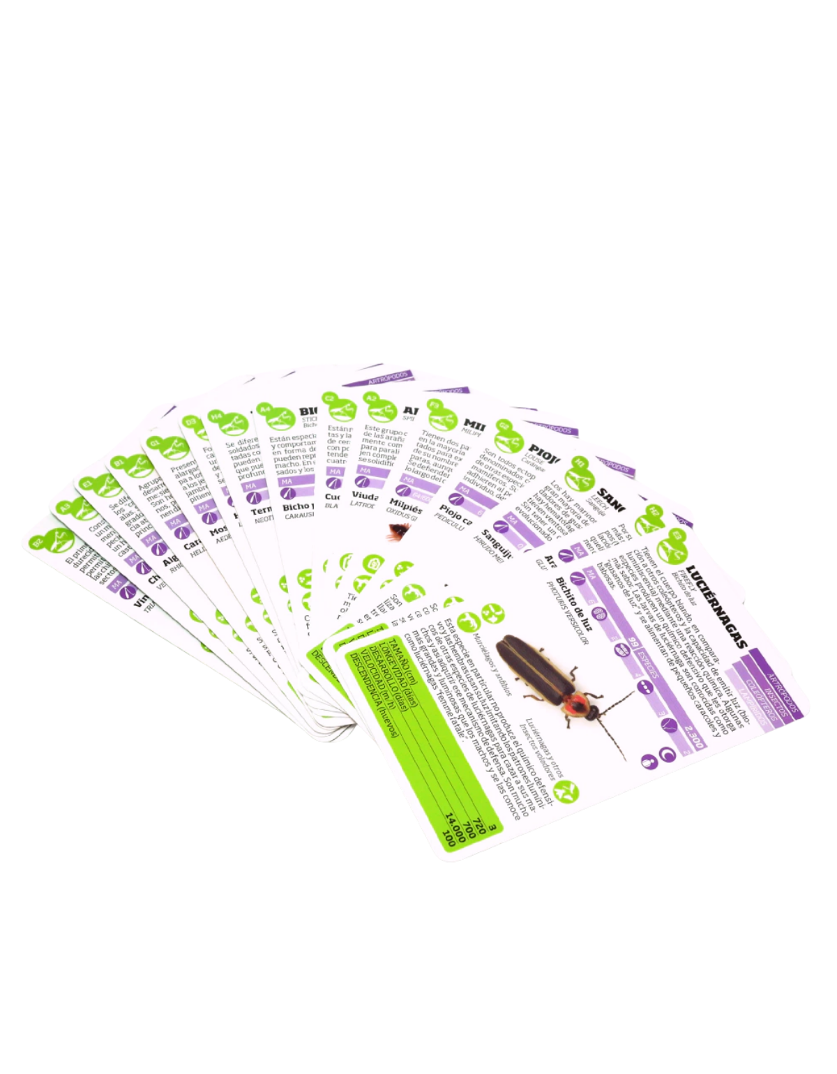 Enciclopedia de Bichos-3