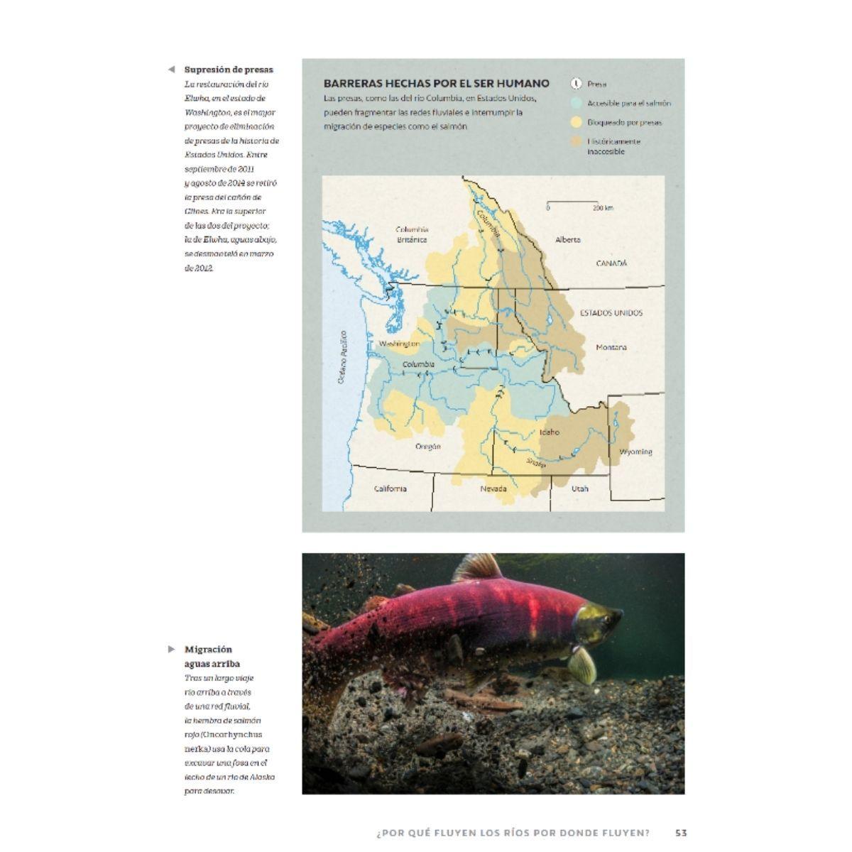 Ríos, estuarios y deltas del mundo y sus ecosistemas-2