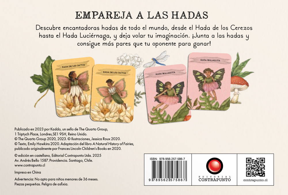 Encuentra a las hadas. Memorice-7