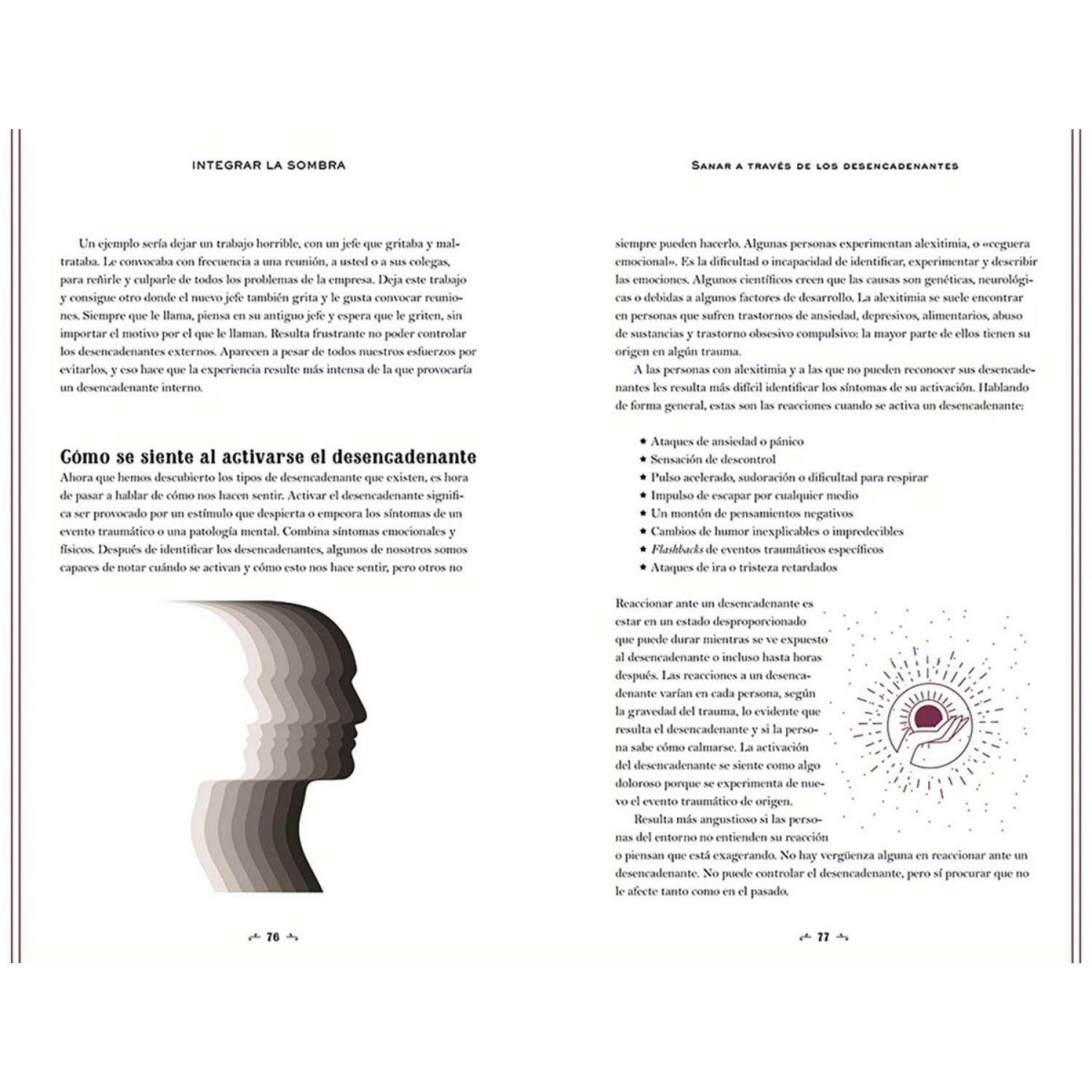 Integrar la sombra-2