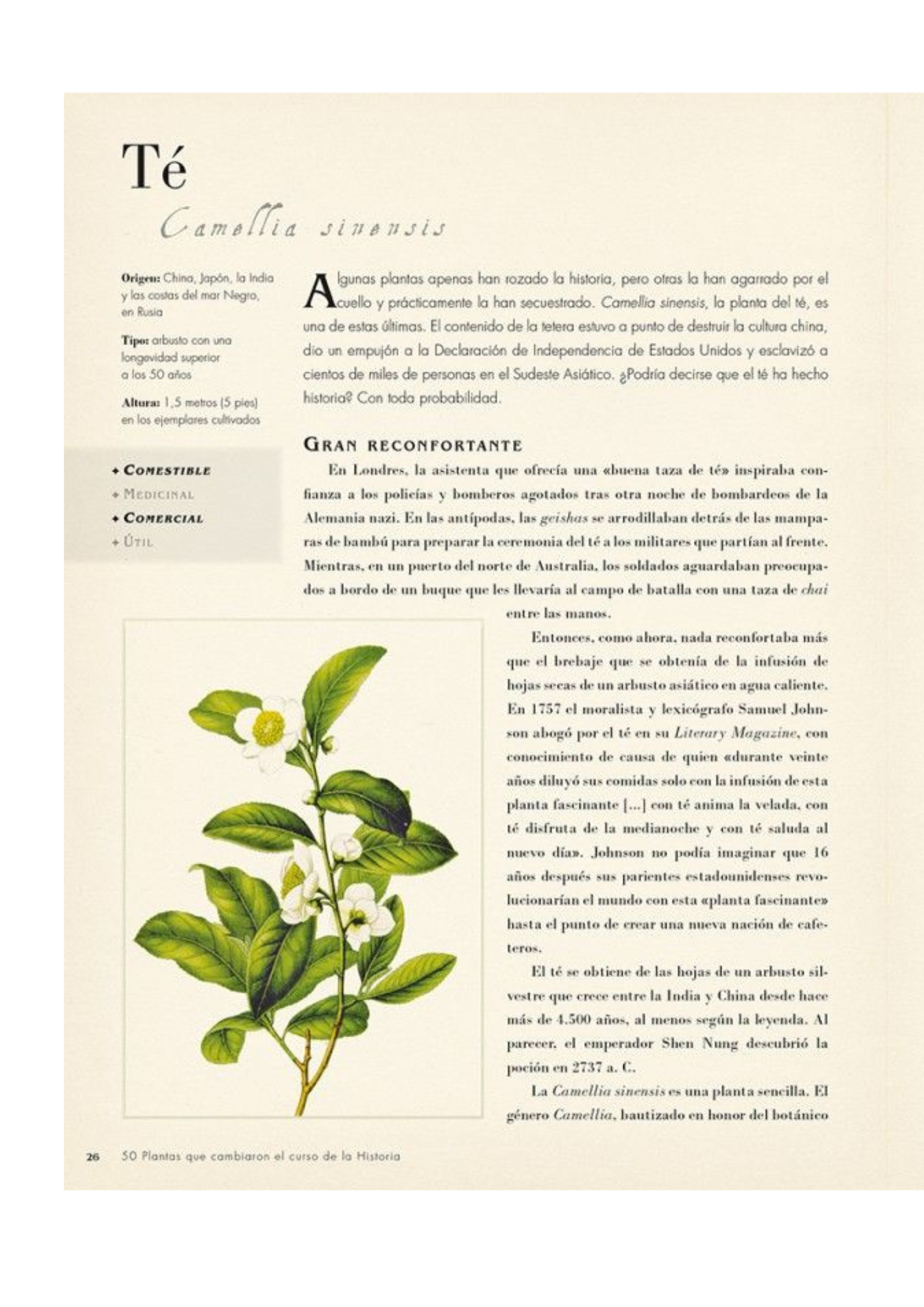 50 Plantas Que Han Cambiado El Curso De La Historia-3