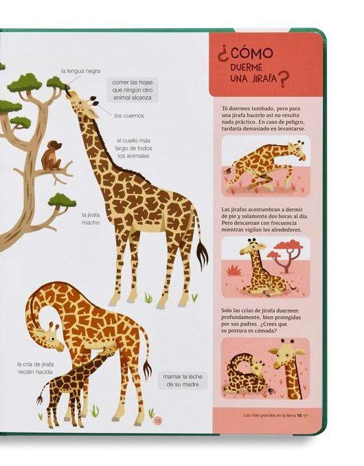 Records De Animales-2