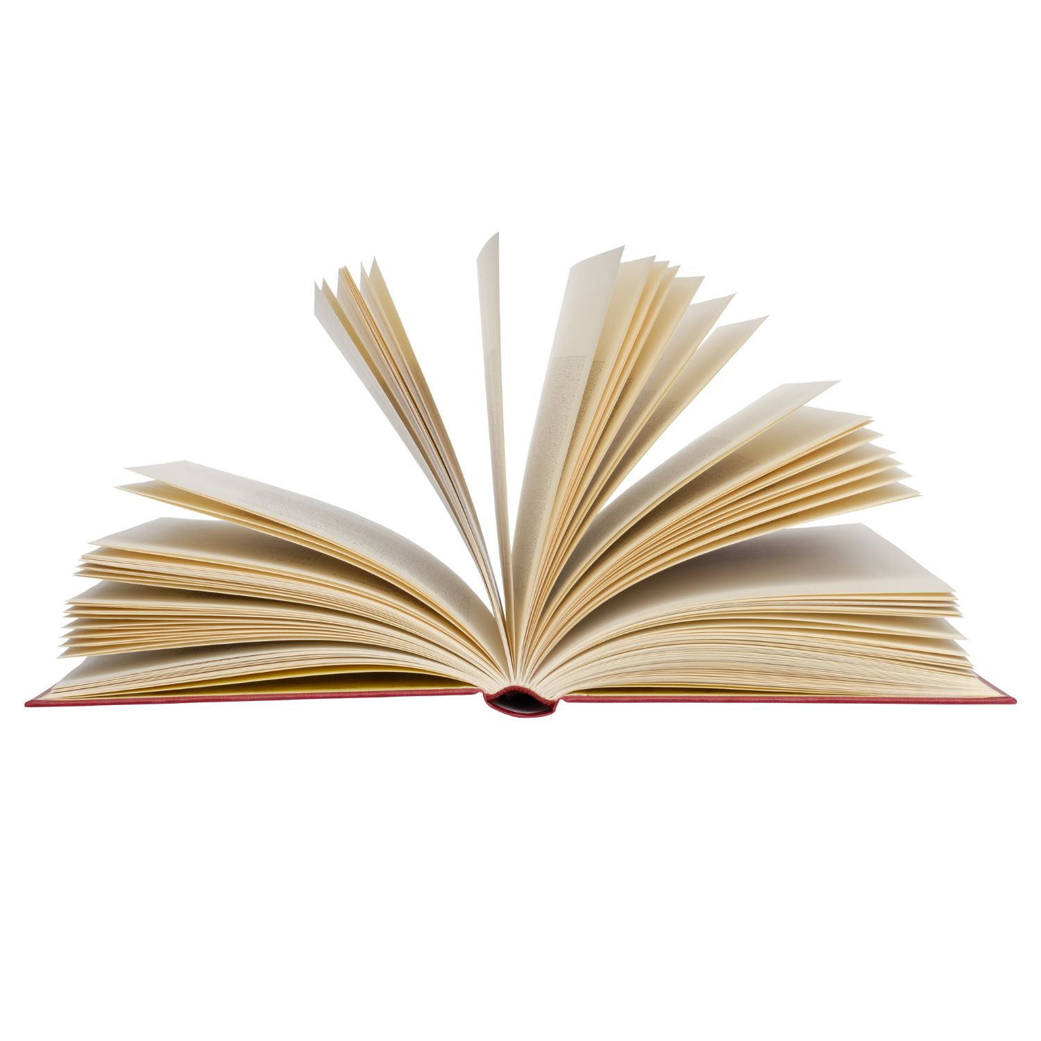 El Bosque Silvestre-2