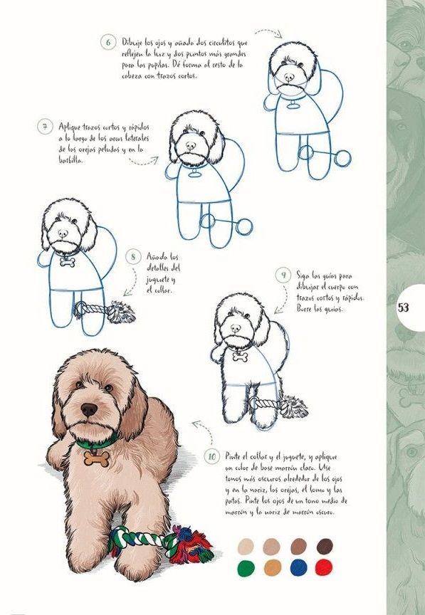 Dibujar En 10 Pasos - Perros-2