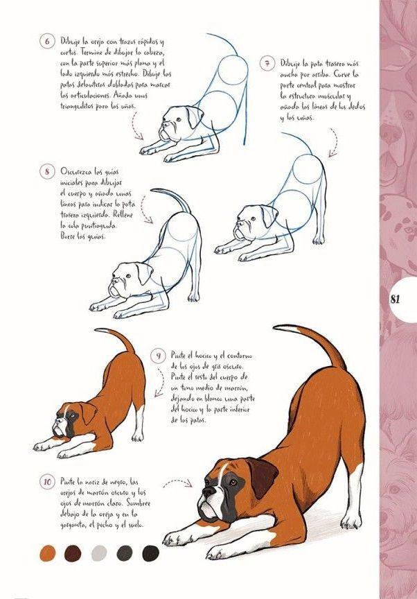Dibujar En 10 Pasos - Perros-3