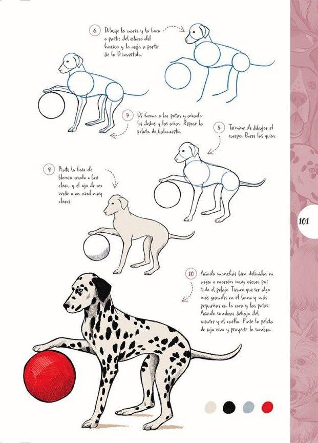 Dibujar En 10 Pasos - Perros-4