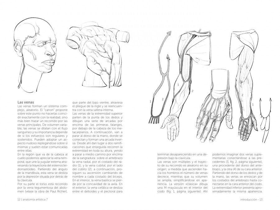 Libro Anatomía Artística 7. Cuerpos Musculados-2