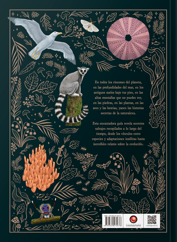 Historias secretas de la naturaleza-5