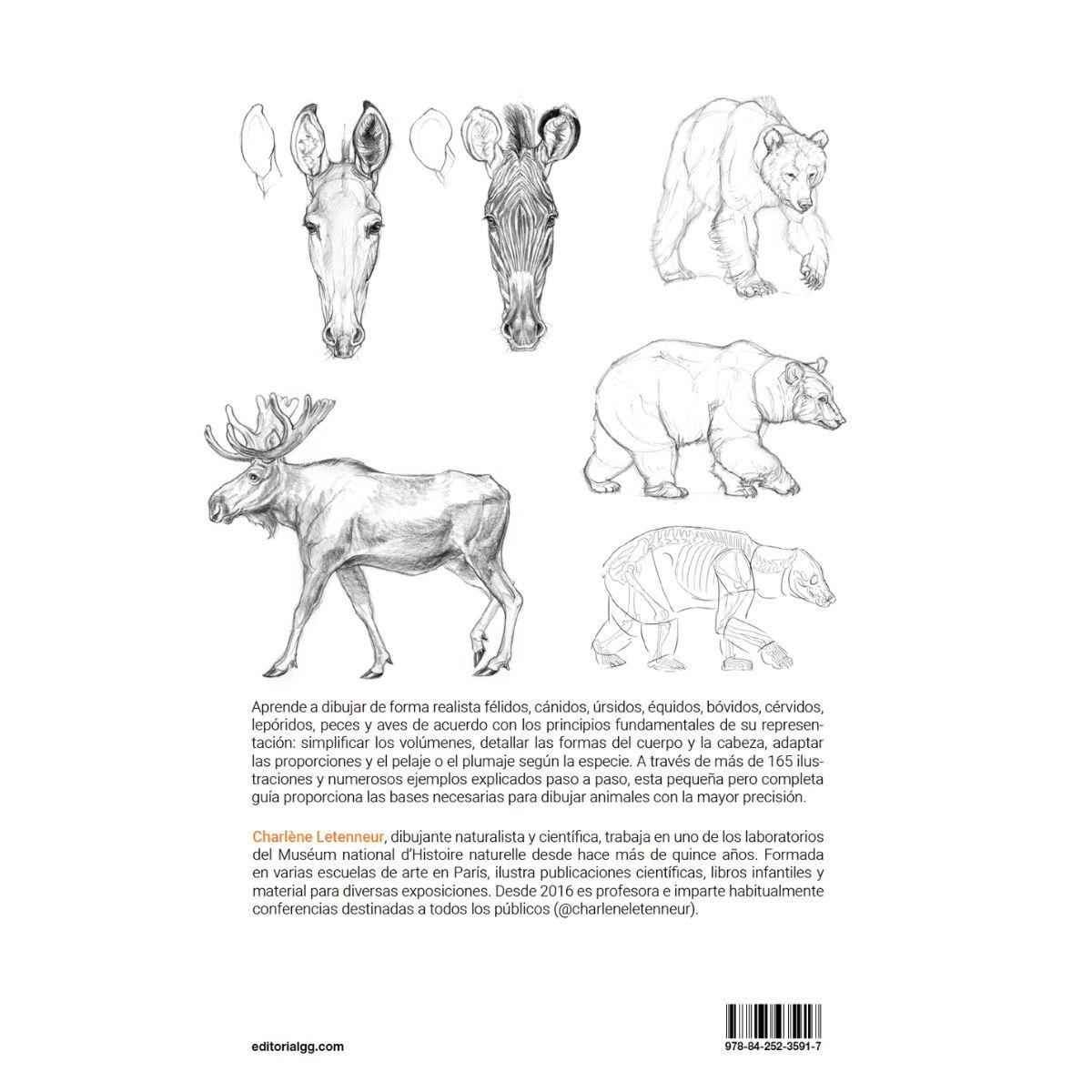 Dibujar los animales-3