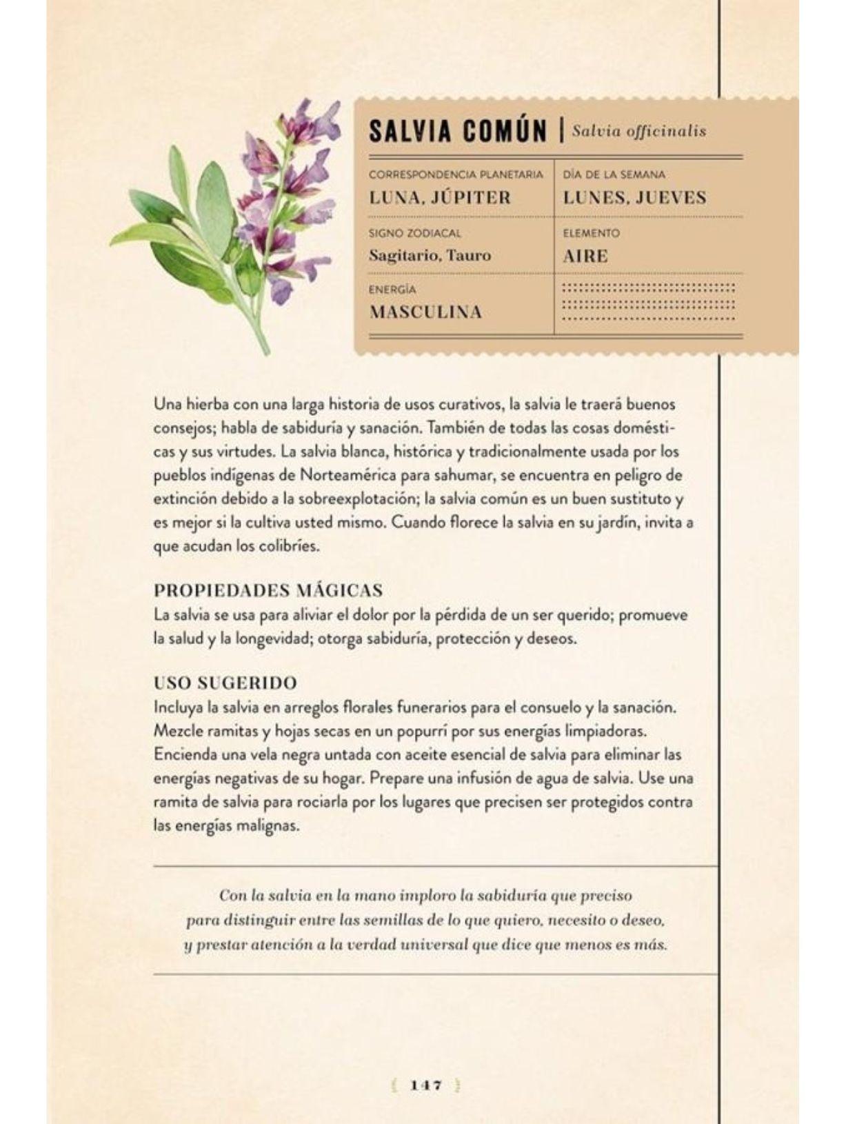 Magia de las hierbas. Manual de hechizos, amuletos...-2