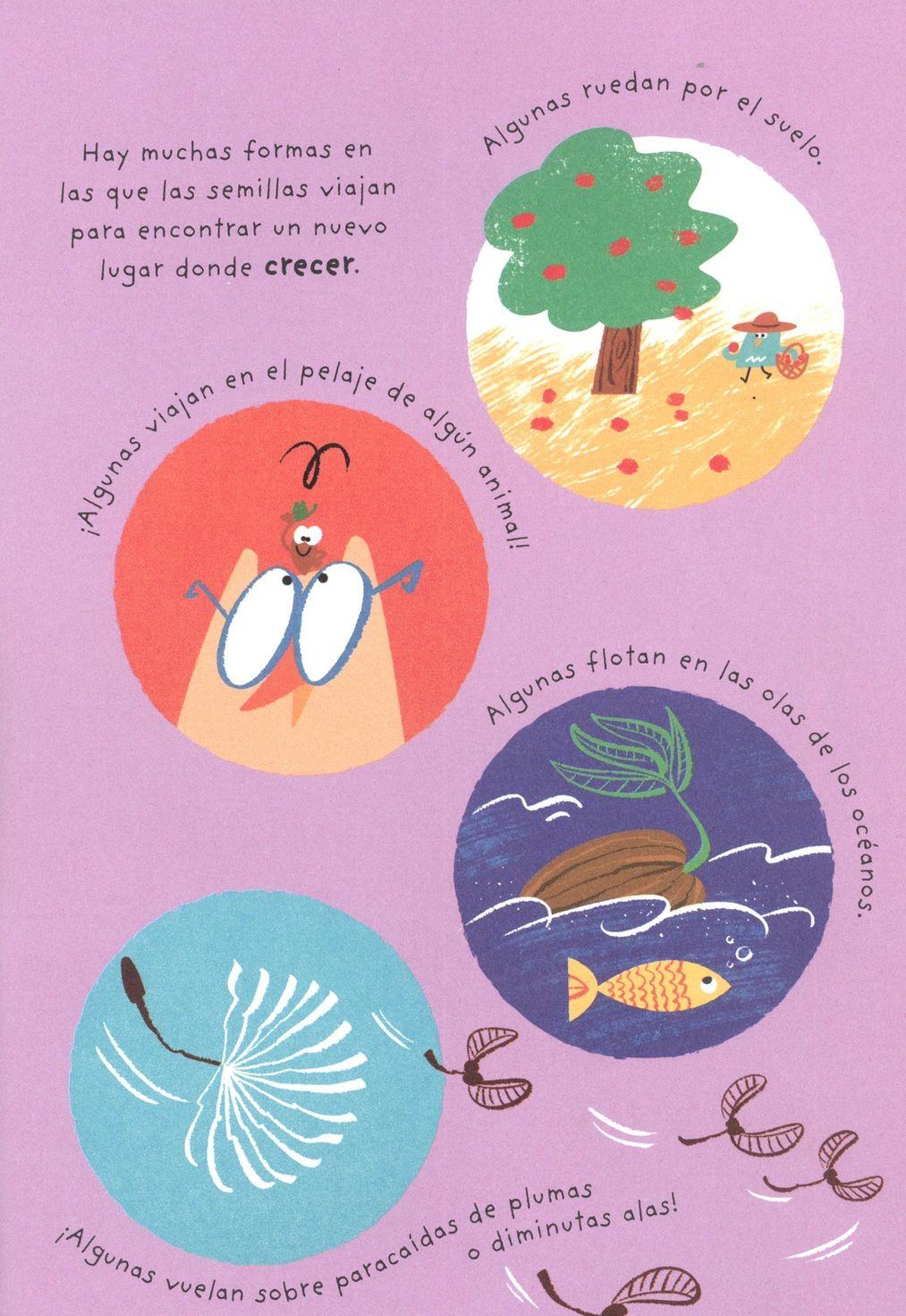 El Pequeño Sabelotodo - ¿Puedes Tocar Un Arcoíris?-2