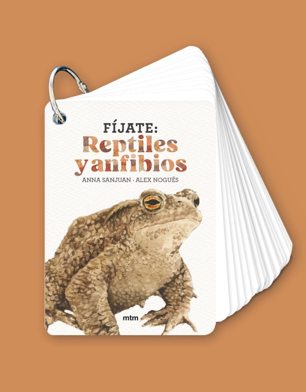 Fíjate: Réptiles y anfibios-2