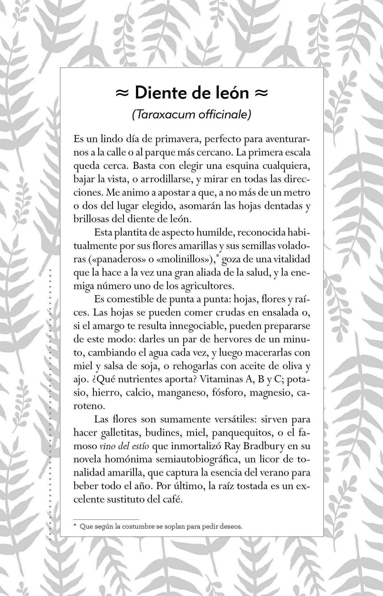Donde Vive El Asombro-5