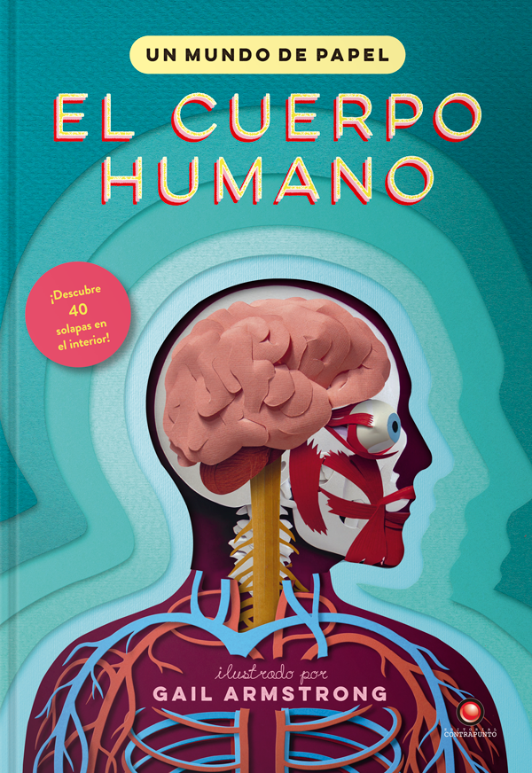 Un Mundo De Papel - El Cuerpo Humano-6