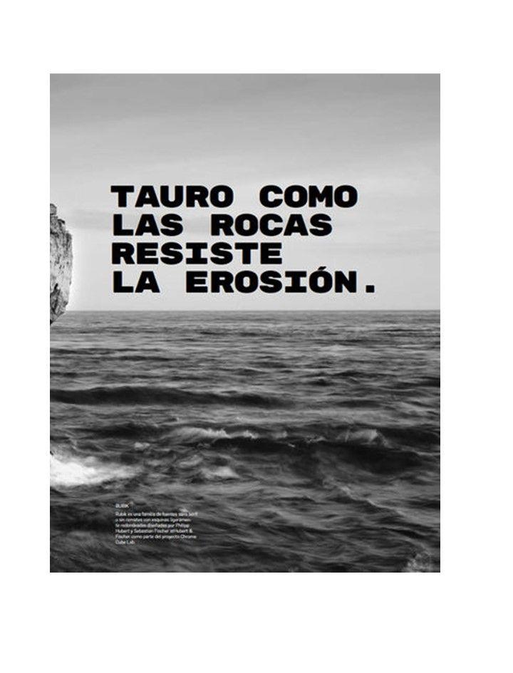Libro TAURO. 60 LEMAS DE TAURO EN DIFERENTES TIPOGRAFIAS-1