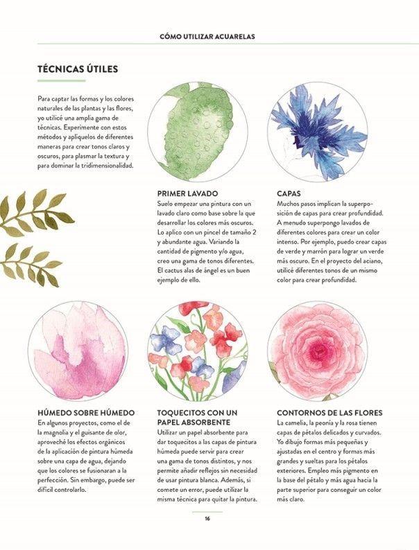 Pintar acuarelas en 10 pasos - Flores y plantas-1