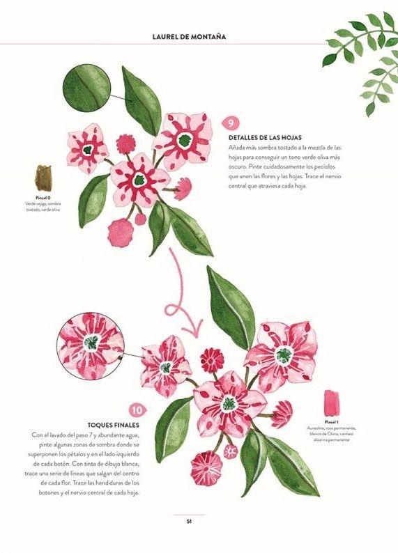 Pintar acuarelas en 10 pasos - Flores y plantas-2
