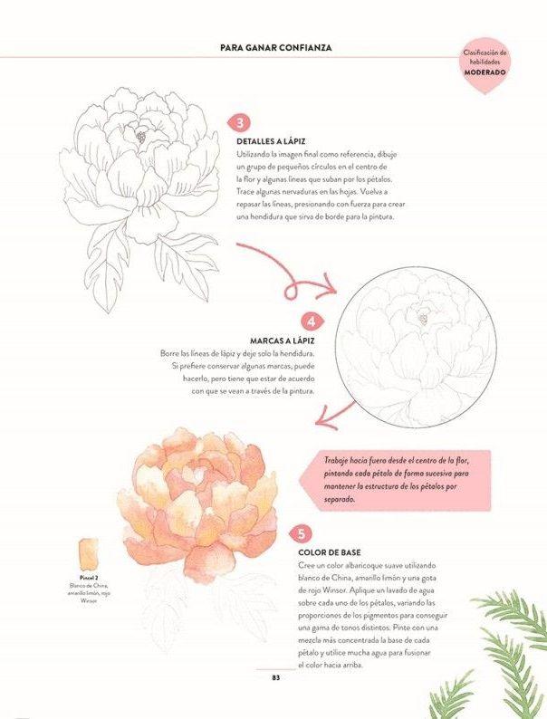 Pintar acuarelas en 10 pasos - Flores y plantas-3