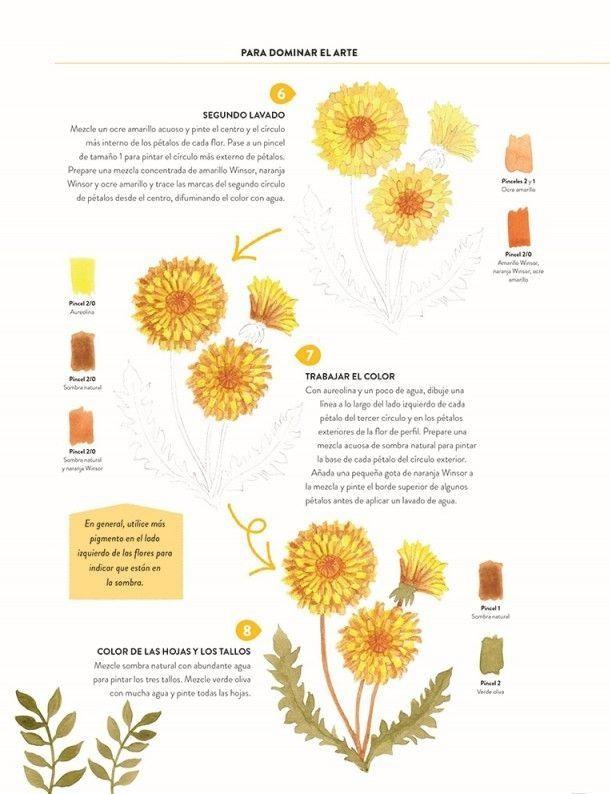 Pintar acuarelas en 10 pasos - Flores y plantas-4