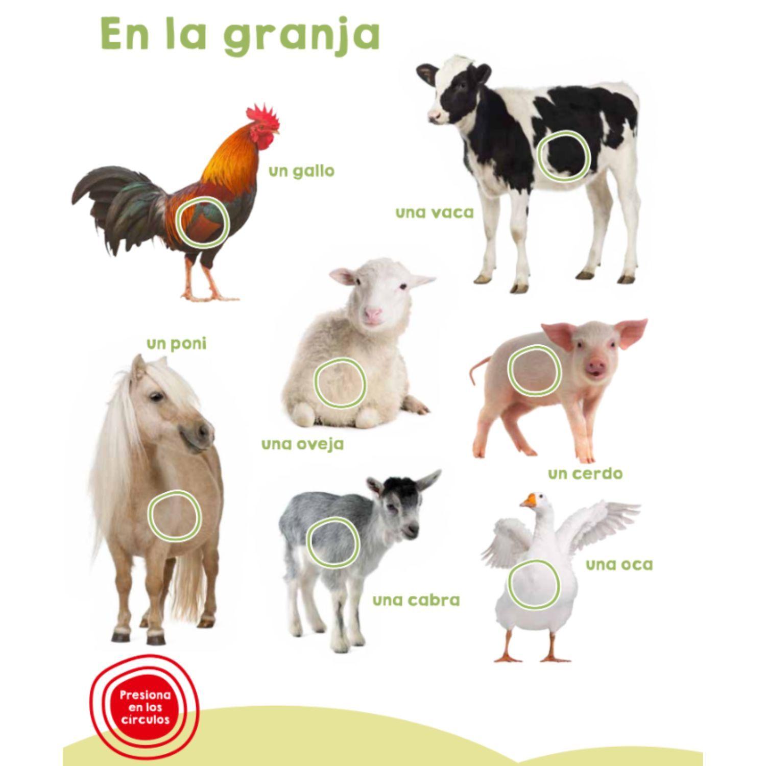 EL LIBRO DE LOS ANIMALES Y SUS SONIDOS-2