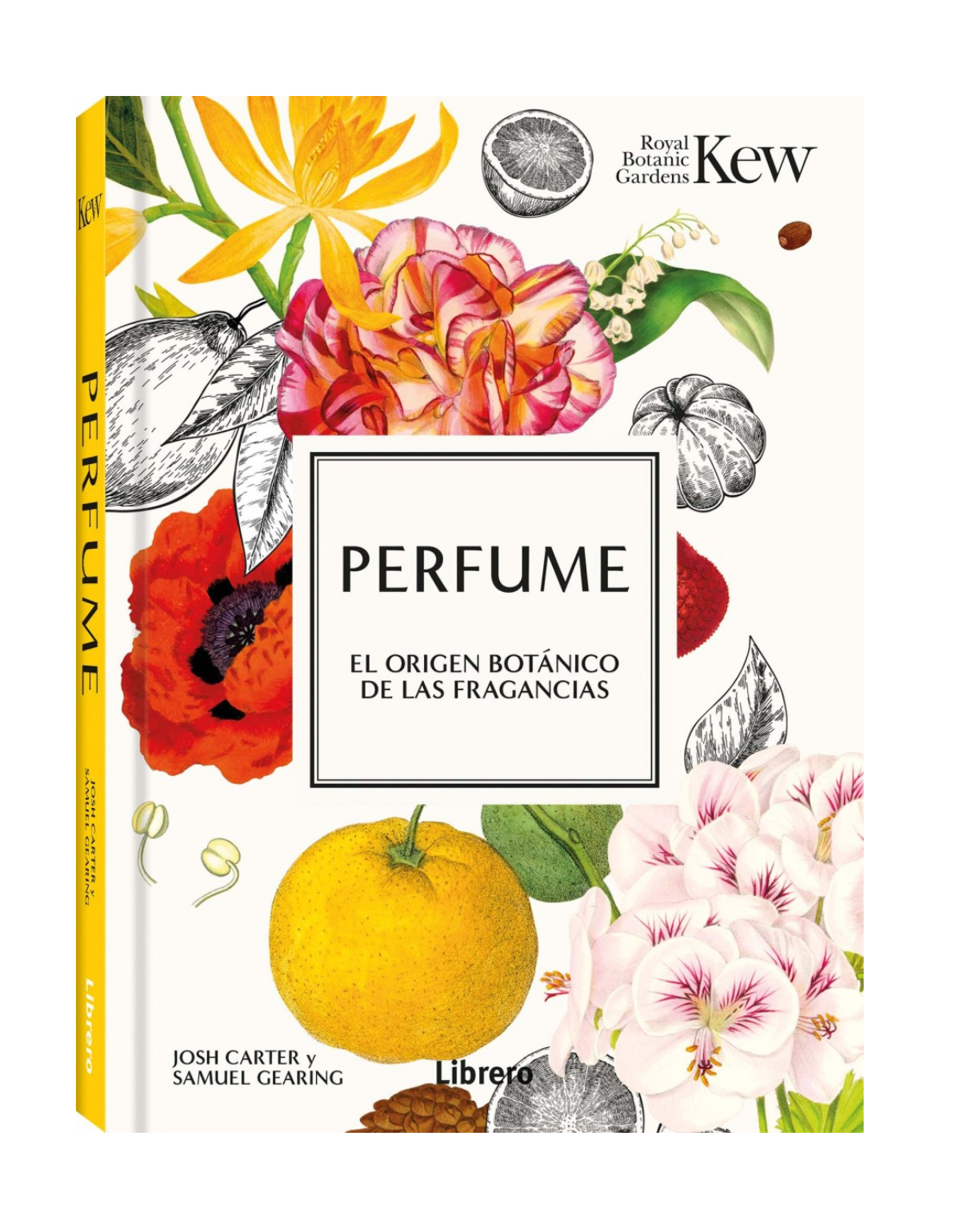 Perfume - el origen botánico de las fragancias-0