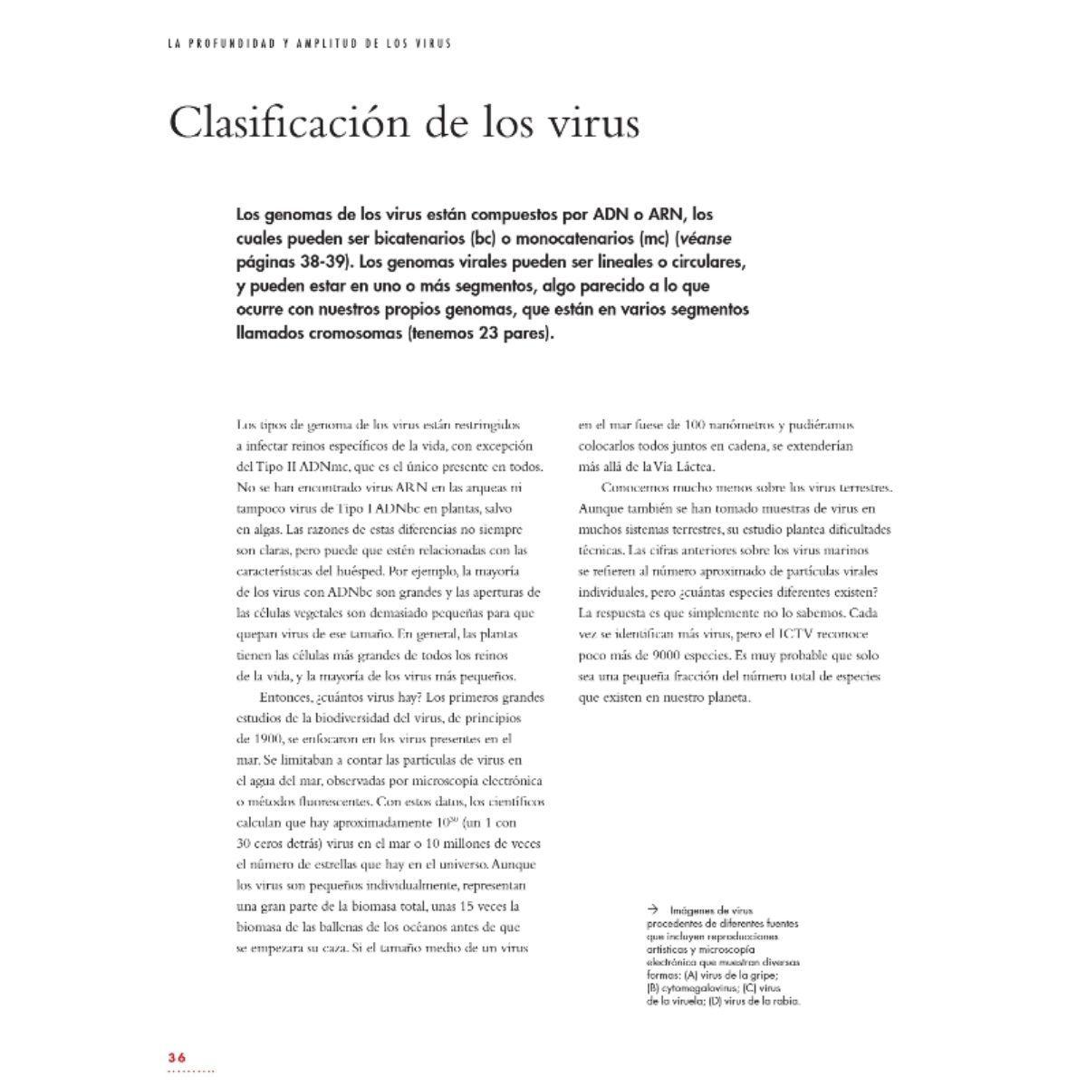 La vida de los virus-2