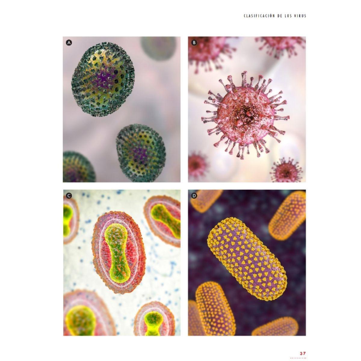 La vida de los virus-3