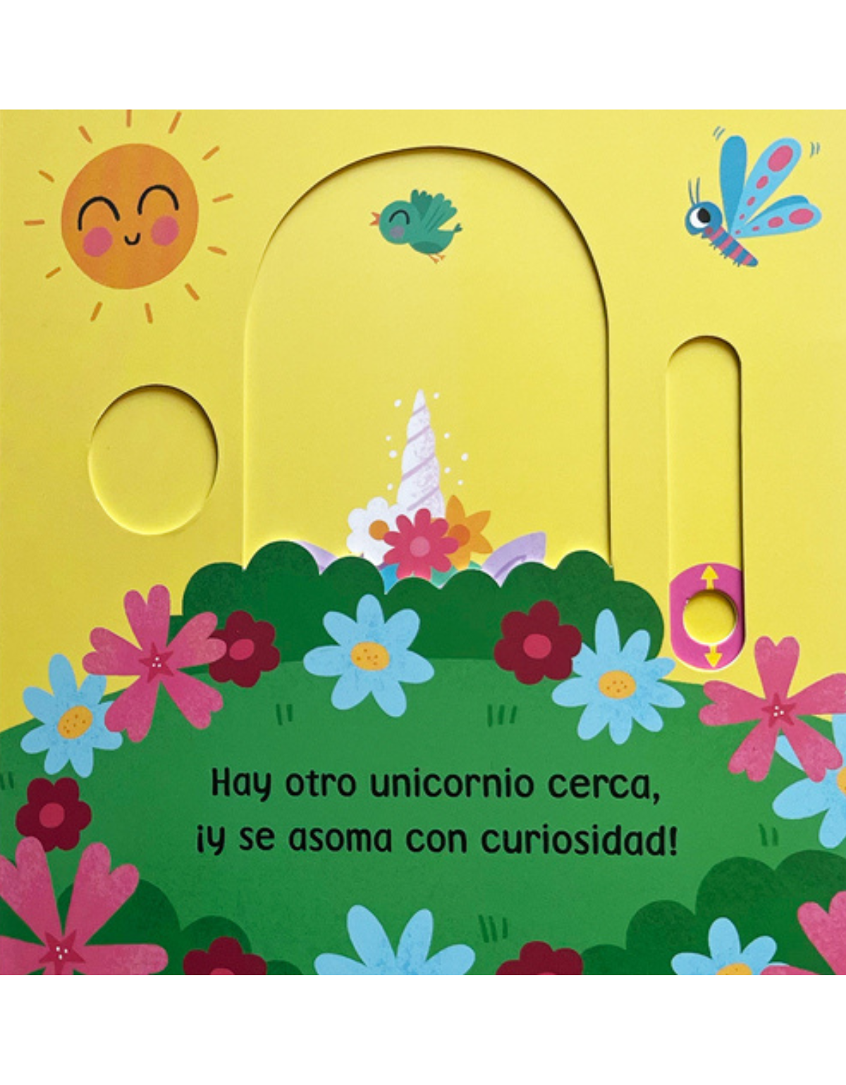 Hola! Unicornios de Editorial Contrapunto-2