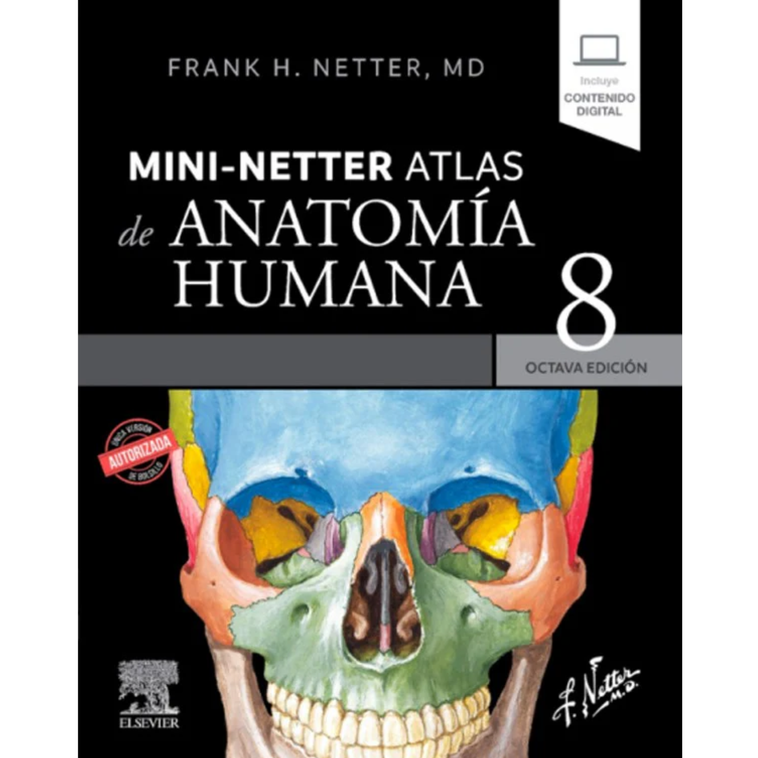 Mini Netter. Atlas de anatomía humana 8ª Ed.-2