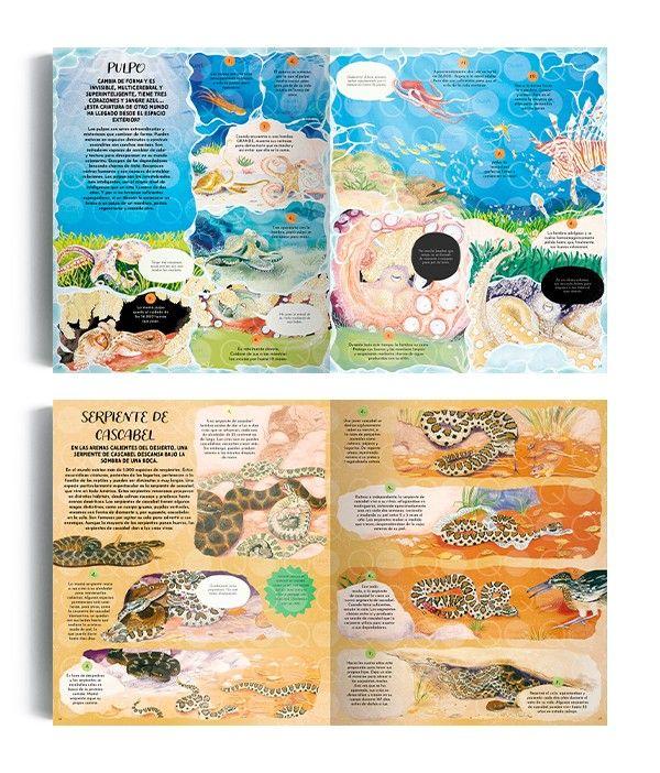 Libro La magia de la naturaleza-2