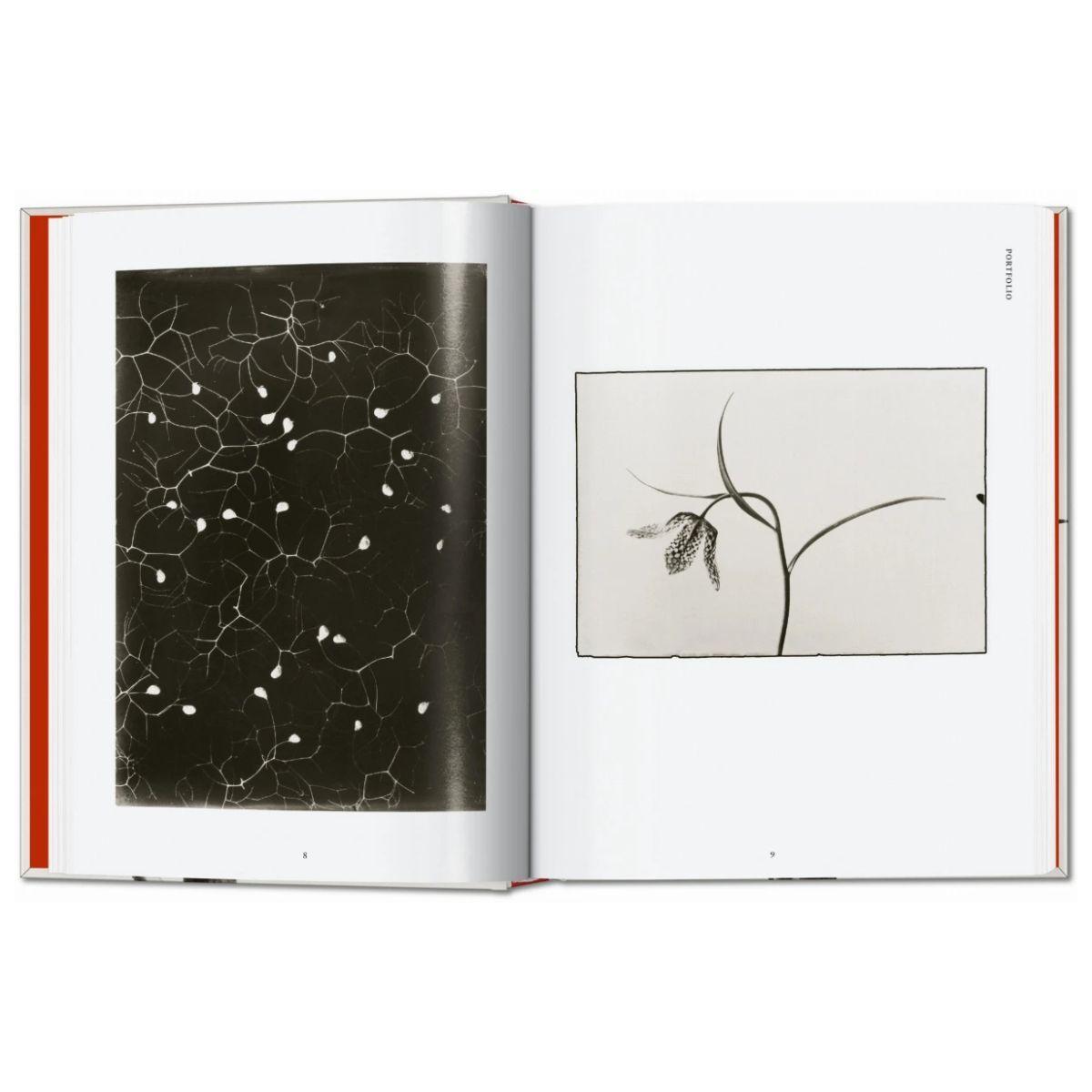 Libro KARL BLOSSFELDT. THE COMPLETE PUBLISHED WORK. 40TH ED.-2