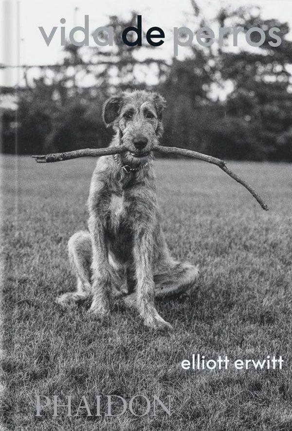 Vida de perros de Editorial Phaidon-4