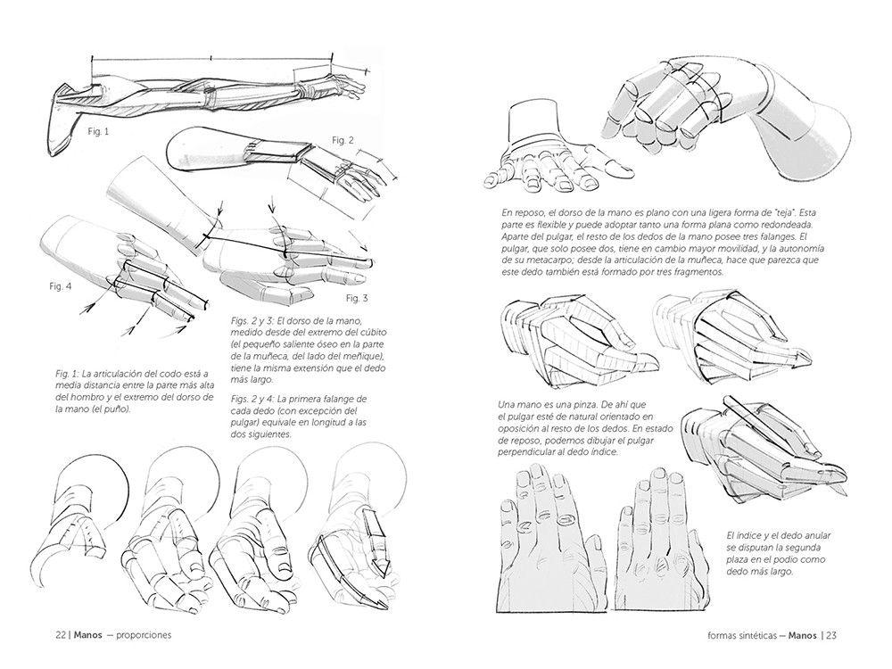 Anatomía Artística 6-2