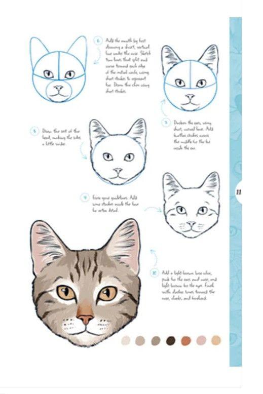 Dibujar En 10 Pasos - Gatos-2