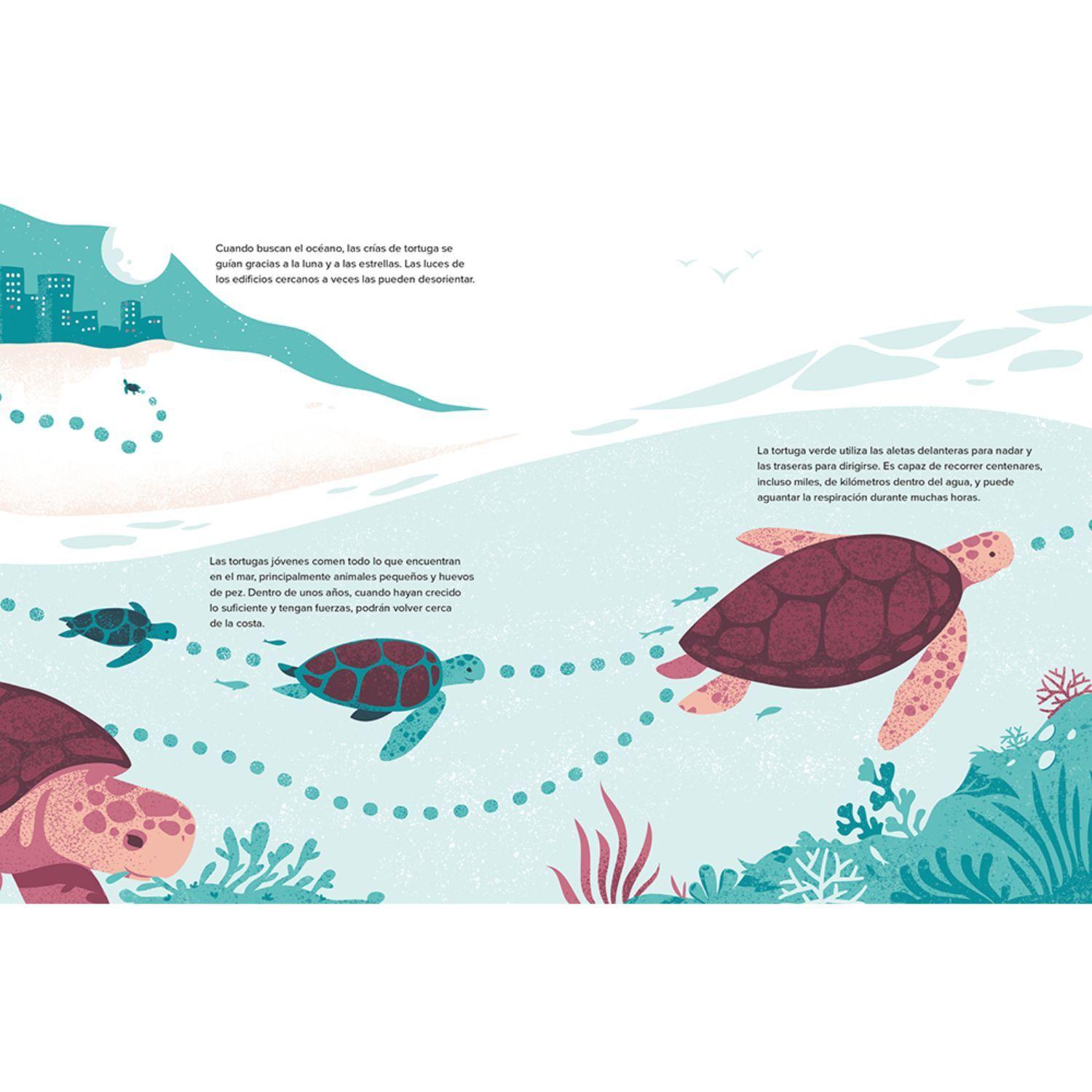 Libro LA TORTUGA DE MAR- sigue el hilo-1