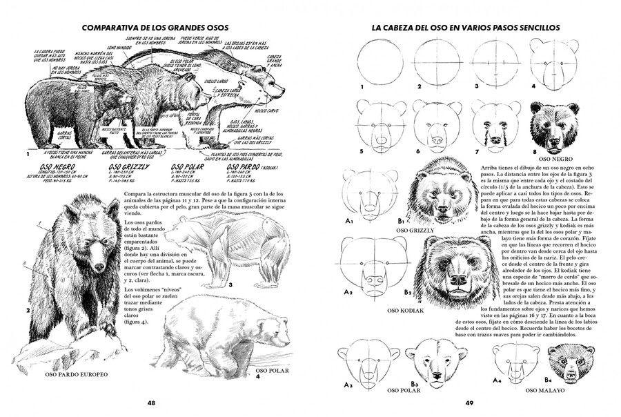 Libro Animales. Cómo dibujar su forma y movimientos-1