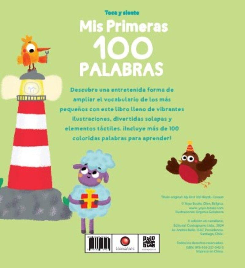 Libro Colores. Mis primeras 100 palabras-5
