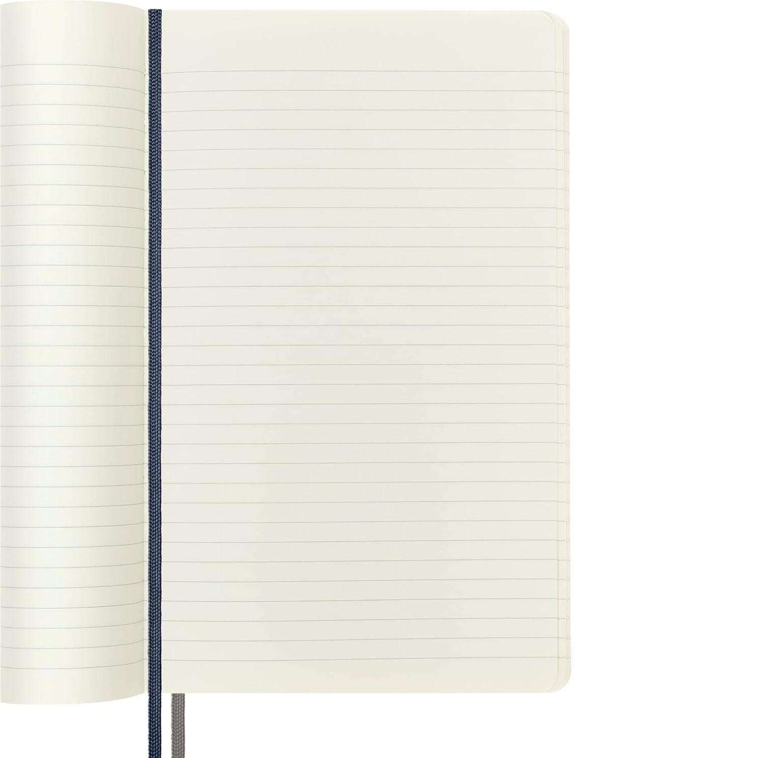 Cuaderno Moleskine expanded -Tapa Blanda-Large-Azul-De rayas-1